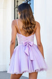 Sequin Lilac Corset A Line Homecoming Dress