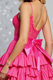 Corset Tiered Fuchsia A Line Homecoming Dress