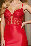 Red Corset Spaghetti Straps Appliqued Mini Tight Homecoming Dress