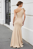 Apricot One Shoulder Mermaid Mother of the Bride Dress with Bow