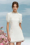 White Fitted A Line Round Neck Homecoming Dress