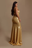 Sparkly Golden A Line V Neck Holiday Dress