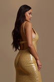 Sparkly Golden A Line V Neck Holiday Dress