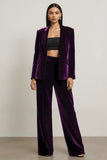 Velvet Dark Purple Peak Lapel 2 Piece Women Suits
