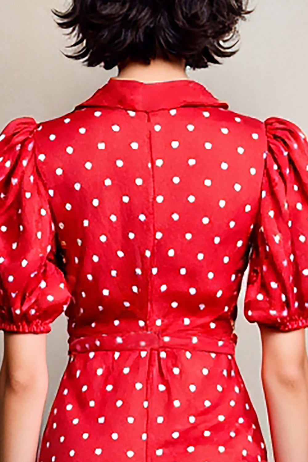 Red A Line Lapel Polka Dot Dress