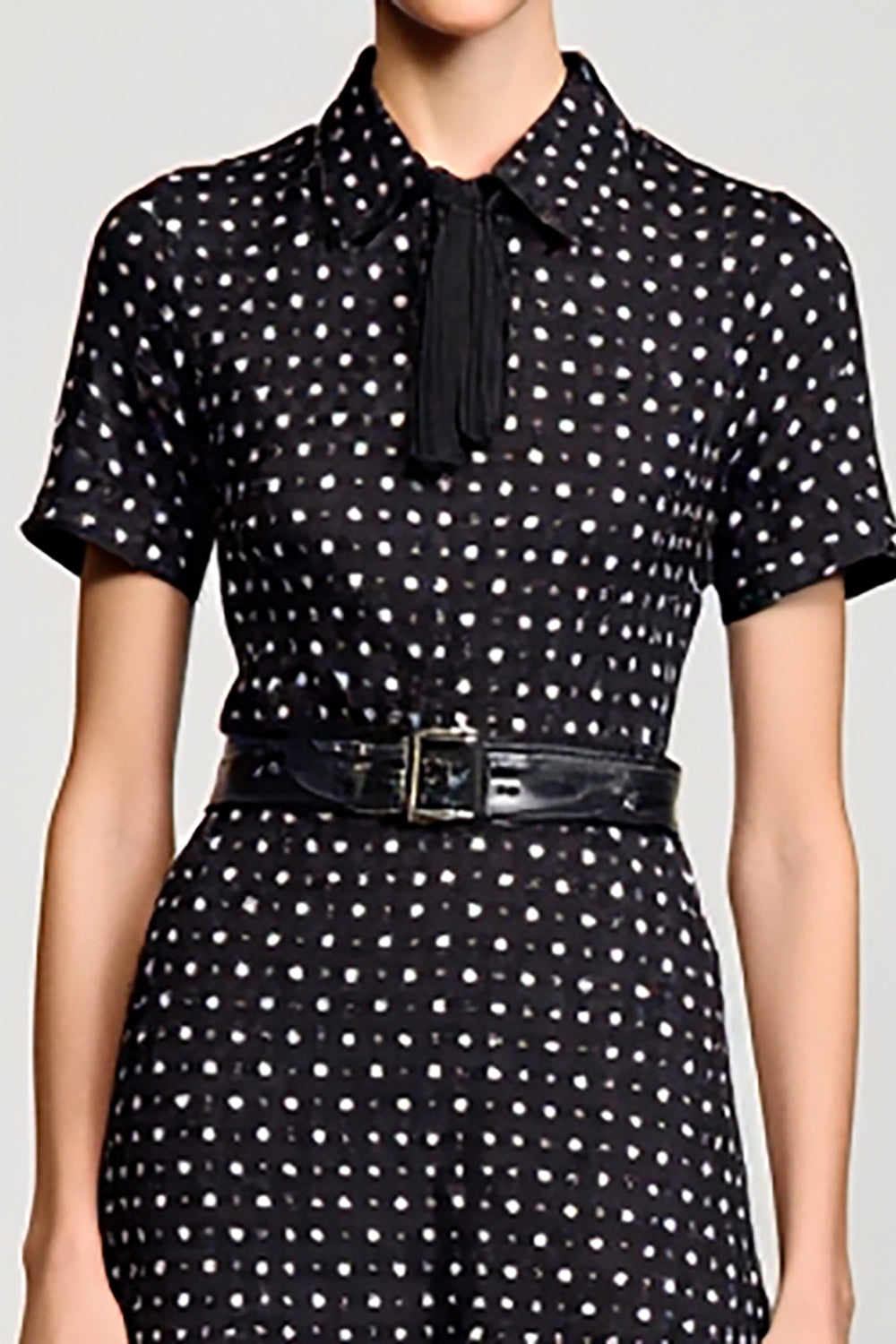 Black Polo Collar A Line Polka Dot Dress