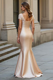 Champagne Long Mermaid Square Neck Mother of the Bride Dress with Lace