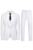 Men's Violet Single Breasted Notched Lapel 3 Pieces Prom Suits
