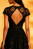 A Line Round Neck Open Back Lace Little Black Dress