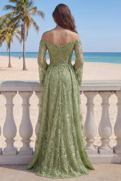 ZAPAKA Women Sage Green Long Prom Dress with Slit A-Line Lace Off the Shoulder Beaded Wedding Guest Dress with Long Sleeves, Sage Green / US24W