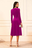 Dark Green A Line Velvet Long Sleeve Holiday Party Dress