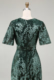 Pine A Line V Neck Burnout Velvet Long Prom Dress with Short Sleeves