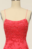 Coral Backless Long Prom Dress with Appliques