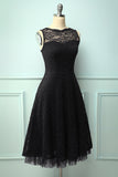 Lace Black Formal Dress