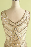 1920s Champagne Fringe Sequins Dress