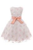 Blue Embroidery Lace Girls' Dress with Bowknot