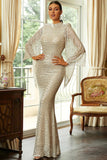 Sparkly Mermaid Formal Dress with Long Sleeves