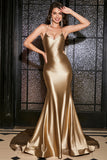 Mermaid Lace-Up Back Golden Long Prom Dress