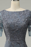 Grey Appliques Mother of Bride Dress