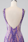 Dark Purple Mermaid V Neck Sequins Long Prom Dress