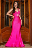 Hot Pink Sparkly Mermaid Cut Out Long Prom Dress