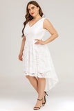 Lace Asymmetrical Plus Size Dress