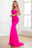 Glitter Hot Pink Mermaid Sequin Prom Dresses