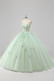 Princess Green Ball Gown Spaghetti Straps Tulle Quinceanera Dress with 3D Flower Appliques