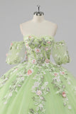 Princess Lemon Green Tulle Ball Gown Long Quinceanera Dress with Appliques