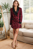 Sparkly Burgundy Bodycon Sequin Maxi Women's Blazer