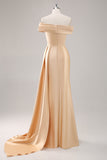 Champagne Sheath One Shoulder Pleated Long Formal Dress with Side Streamer