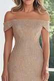 Taupe Lace Applique Sheath Off the Shoulder Mother of the Bride Dress