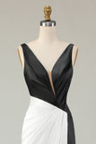 Black White Sheath Deep V Neck Long Gala Dress