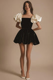 A Line Short Sleeves Pleated Velvet Short Little Black Dress