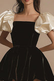 A Line Short Sleeves Pleated Velvet Short Little Black Dress