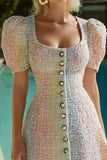 Pink Blue A Line Short Fitted Tweed Homecoming Dress with Singel Breasted