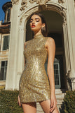 Sparkly Goed Bodycon Mini Party Dress