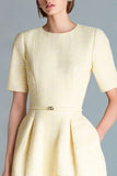Light Yellow A Line Knee-Length Work Dress