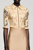 Champagne Lace Half Sleeve Midi Wedding Guest Dress