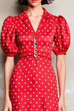Red A Line Lapel Polka Dot Dress