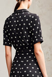 Black Polo Collar A Line Polka Dots Dress