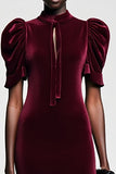 Dark Red Velvet Sheath Wedding Guest Dress