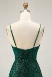 Sparkly Bodycon Dark Green Sequins Corset Homecoming Dress