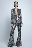 Silver Gray Sparkly 2 Piece Women Prom Suits
