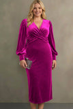 Velvet Cabernet Sheath Long Sleeve Plus Size Holiday Party Dress