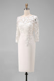 Bodycon Bateau Neck Appliqued Midi Mother of the Bride Dress with 3/4 Sleeves