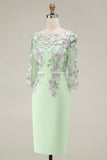 Bodycon Bateau Neck Appliqued Midi Mother of the Bride Dress with 3/4 Sleeves