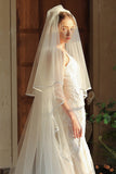 Long Ivory Tulle Wedding Veil