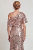 Sparkly Champagne One Shoulder Long Mother of the Bride Dress with Sequins
