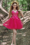 Royal Blue Spaghetti Straps Short Homecoming Dress with Appliques